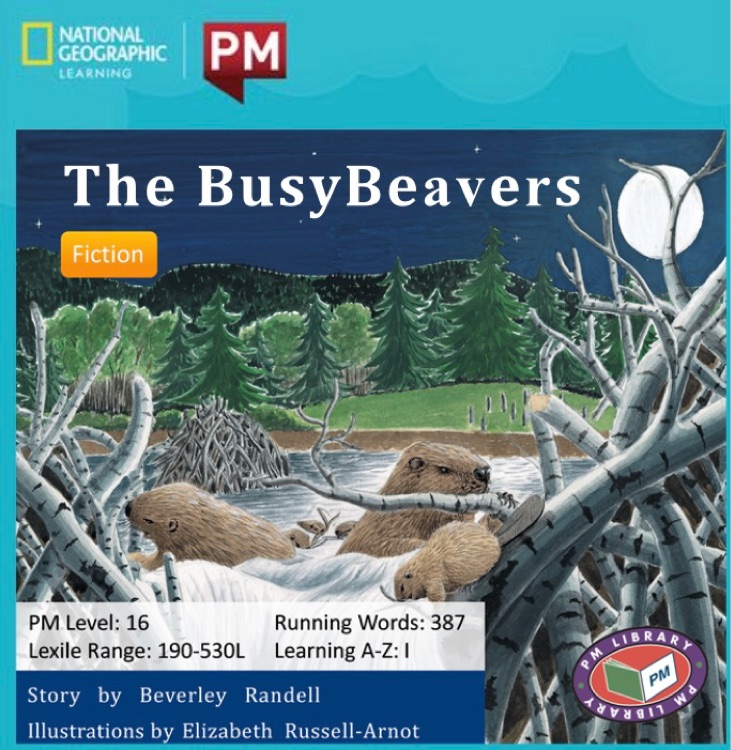 The Busy Beavers PM Level 16 Set C Orange