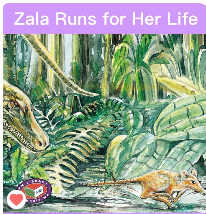 Zala Runs for Her Life PM Purple Set A Fiction