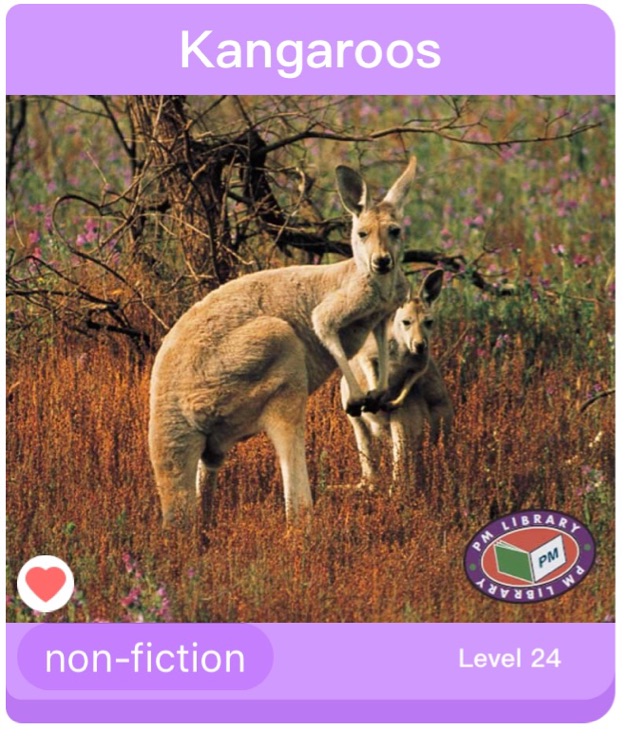 Kangaroos PM Non Fiction Animal Facts Level 18&19 Animals in the Wild Turquoise