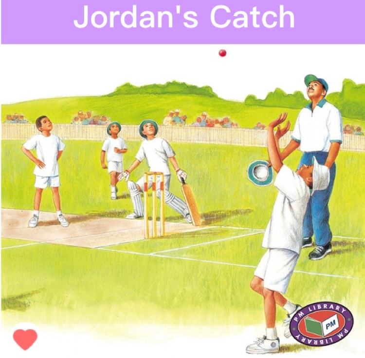 Jordan's Catch PM Purple Set C