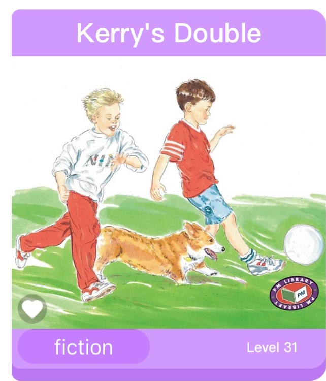 Kerry's Double PM Level 23 Set A Silver