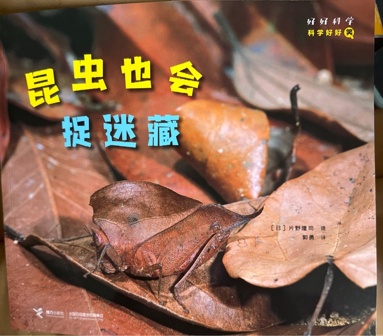 昆蟲(chóng)也會(huì)捉迷藏