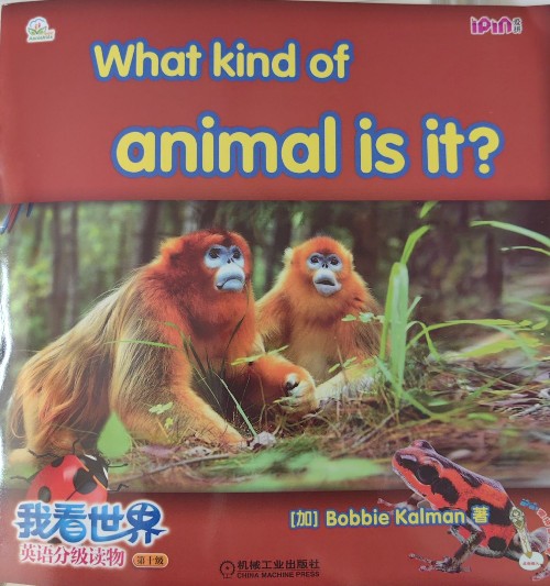 What kind of animal is it?