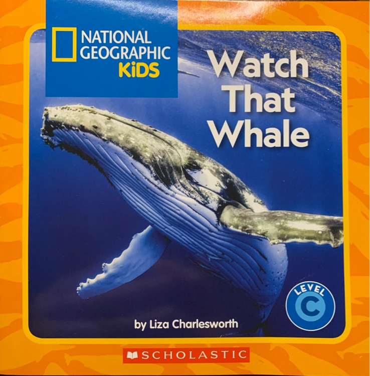 Watch That Whale