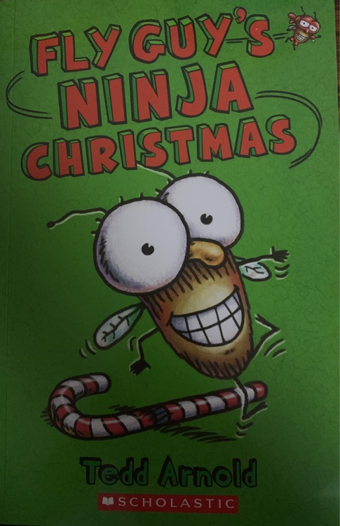 Fly Guy's Ninja Christmas