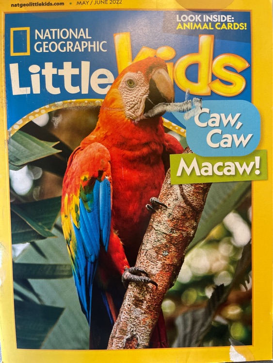 National geographic Little kids - Caw Caw Macaw