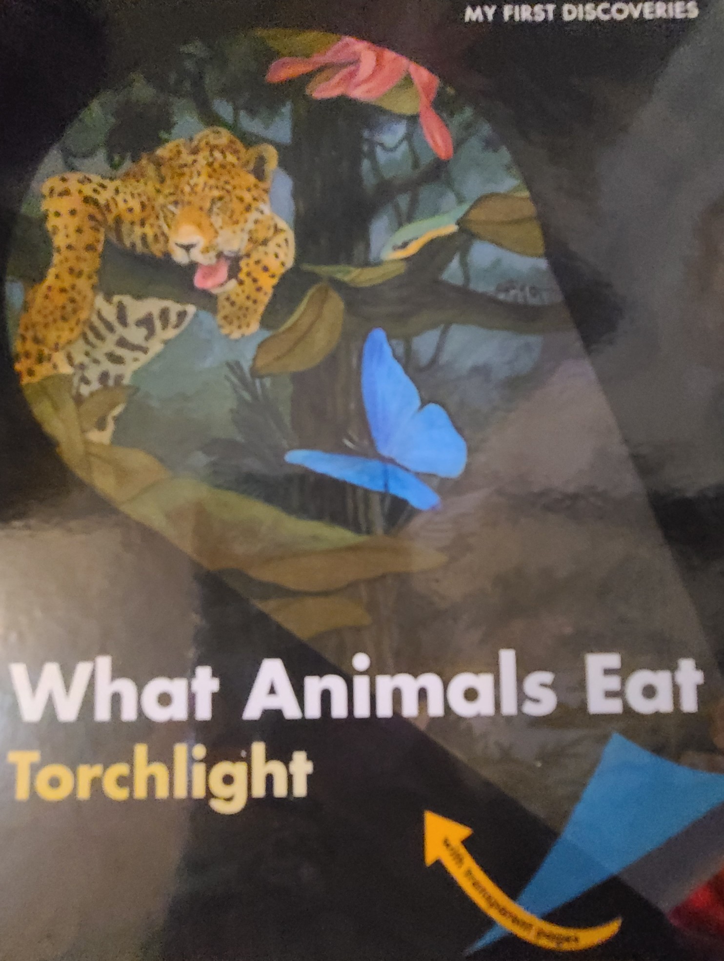 What animals eat torchlight