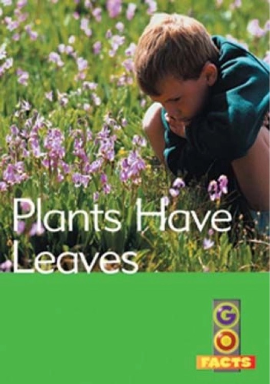 Plants have leaves