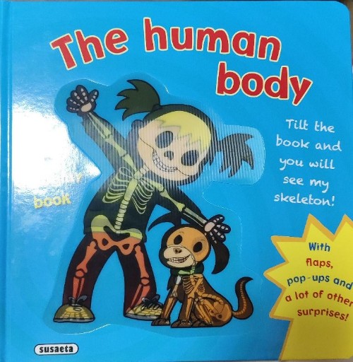 The human body