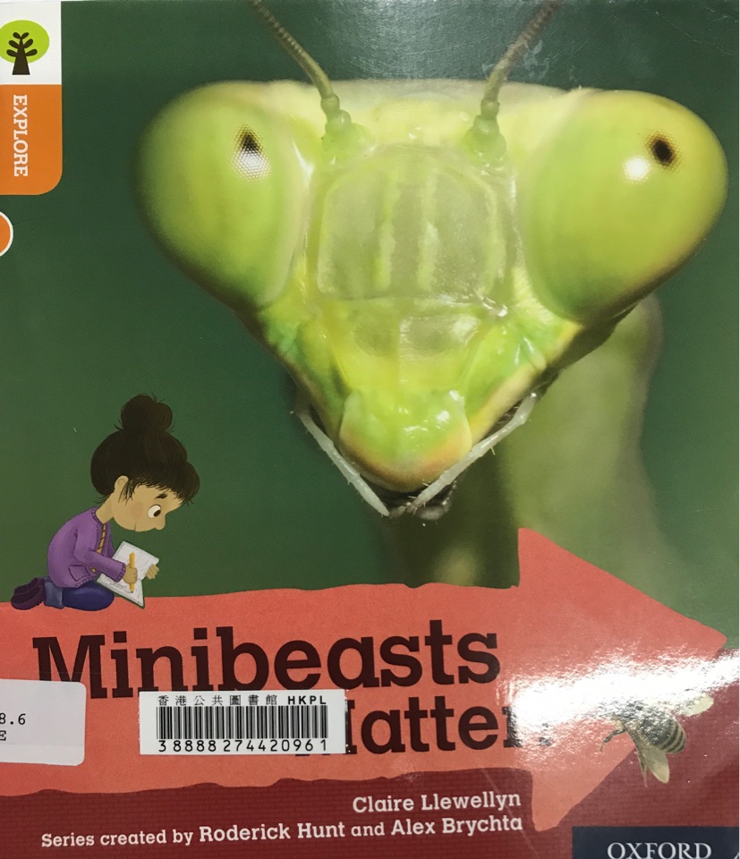 Minibeasts  matter