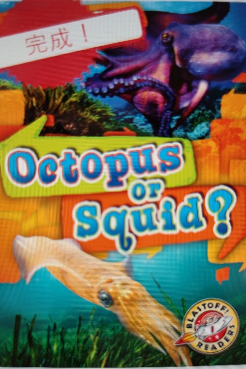 octopus or squid