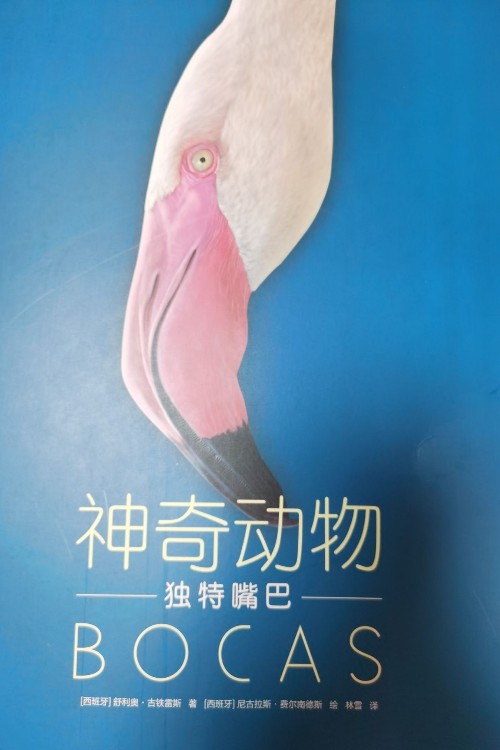 神奇動(dòng)物獨(dú)特嘴巴