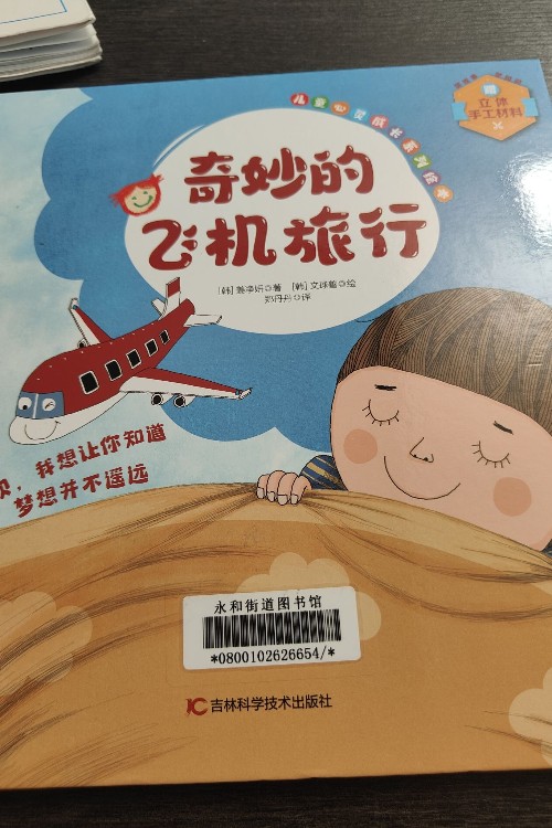 奇妙的飛機(jī)旅行