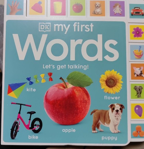 dk my first words