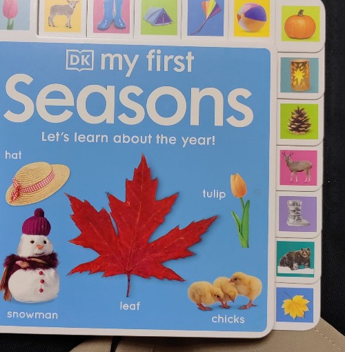 dk my first seasons