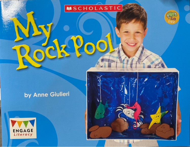 My rock pool