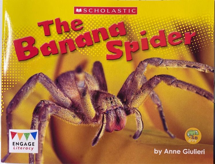 The banana spider