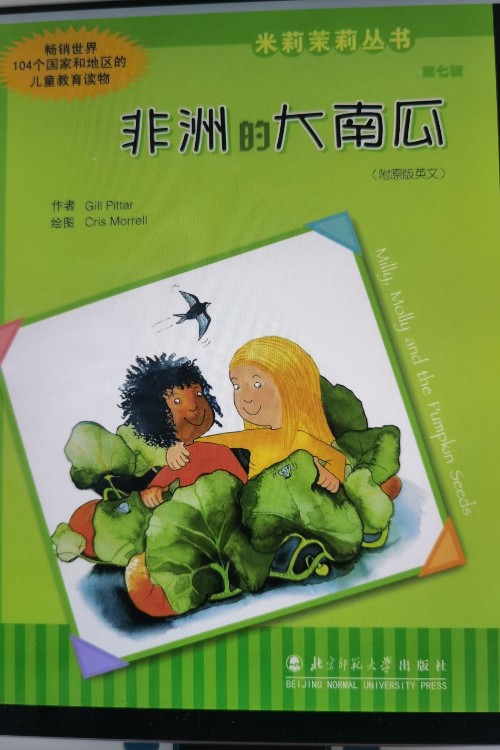 非洲的大南瓜