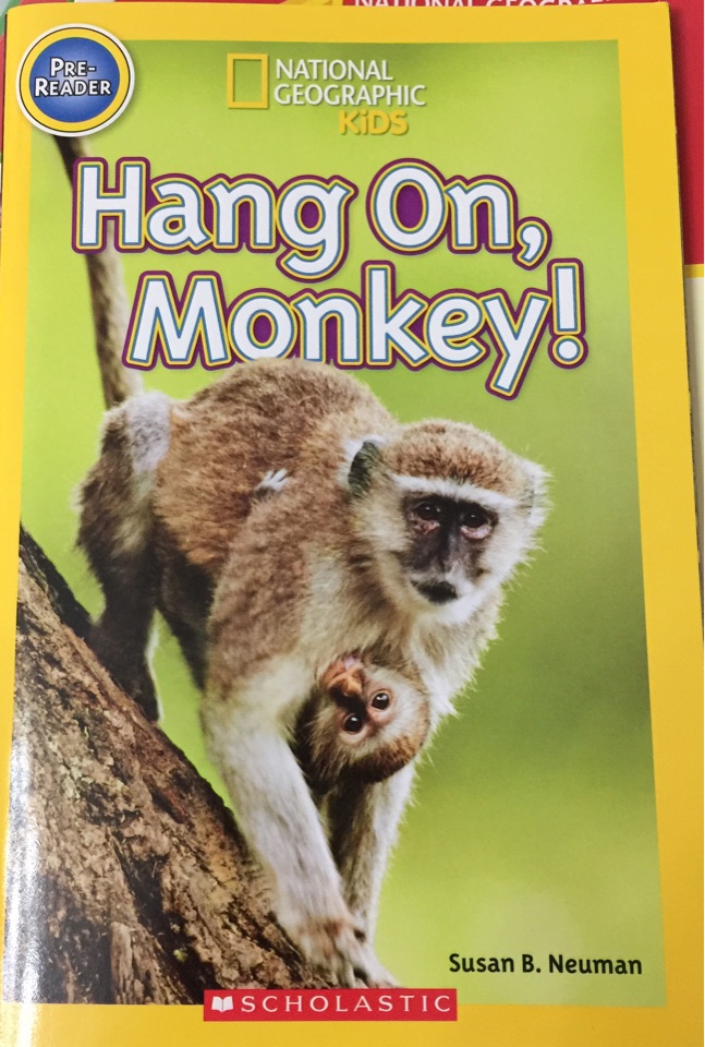 Hang on, Monkey!