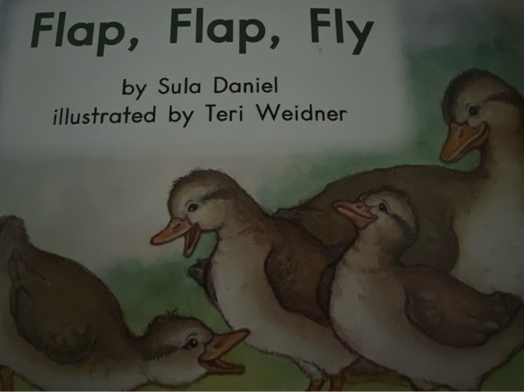 Flap flap fly