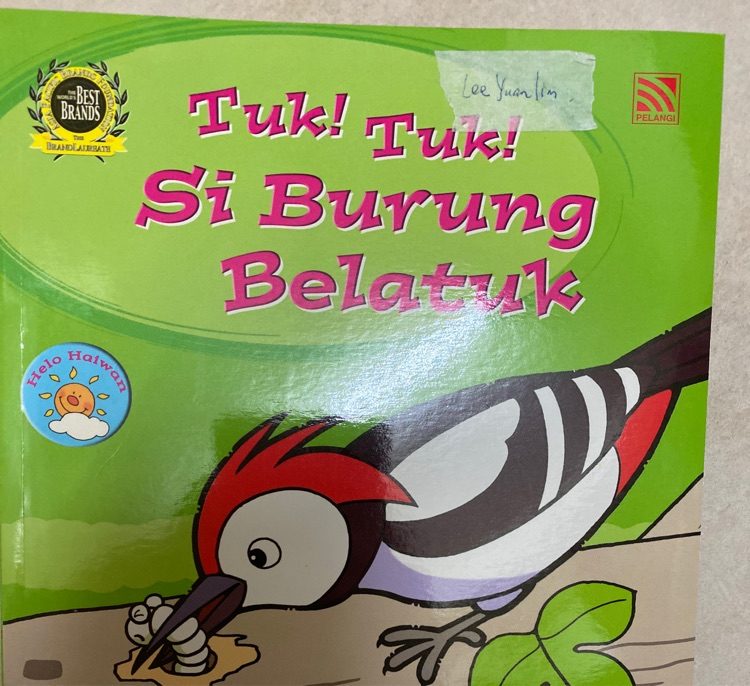 Tuk Tuk Si Burung Belatuk