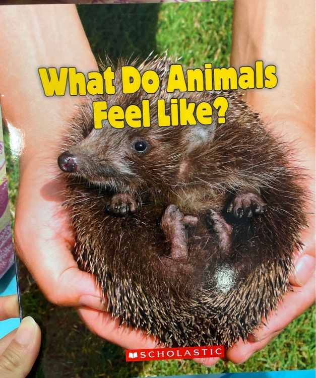 What Do Animals Feel Like?