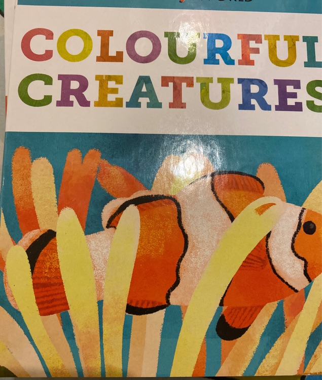 Colourful Creatures