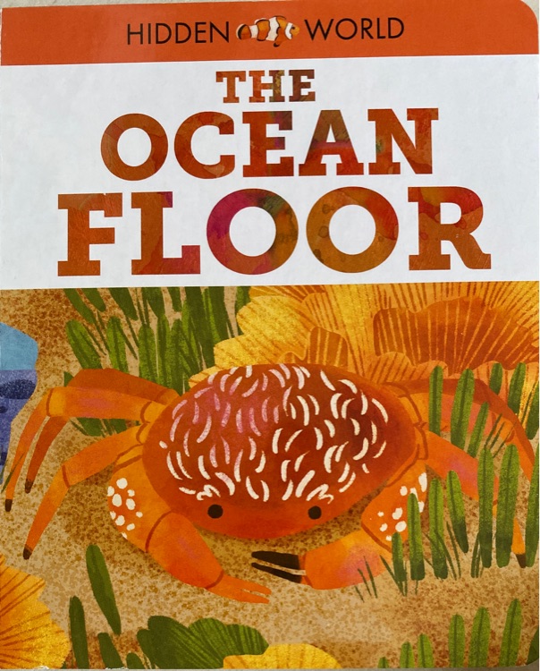 The Ocean Floor