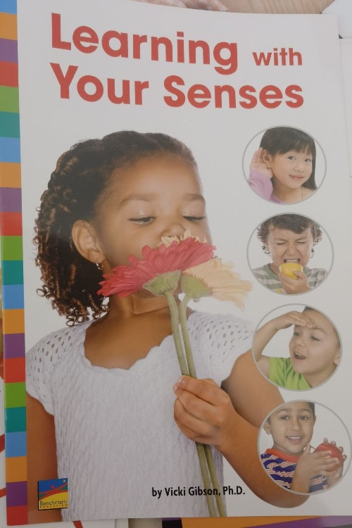 Learning with Your Senses