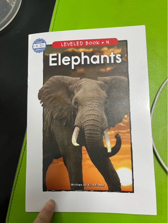 Elephants