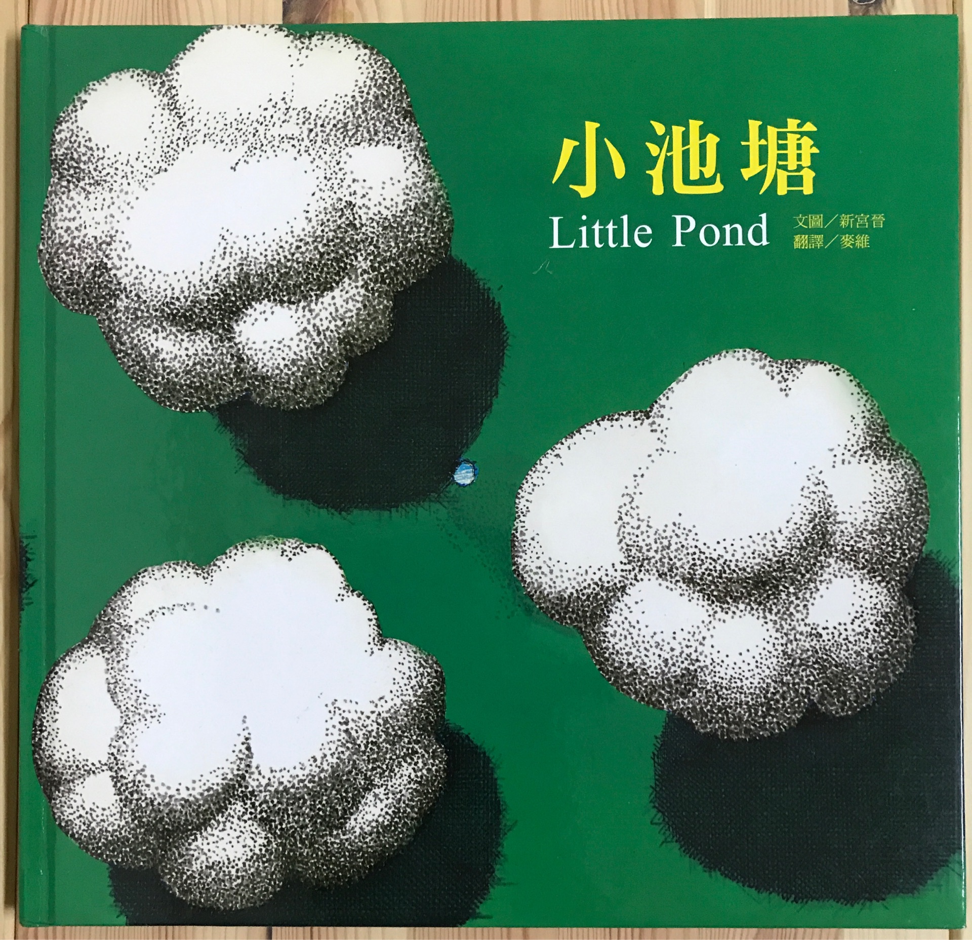 Little Pond (Chinese Edition)