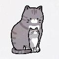 猫眼麻麻