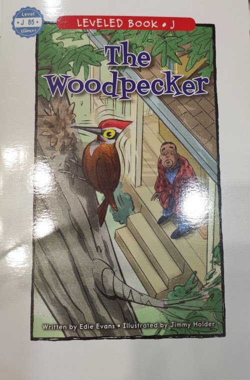 The woodpecker (raz J