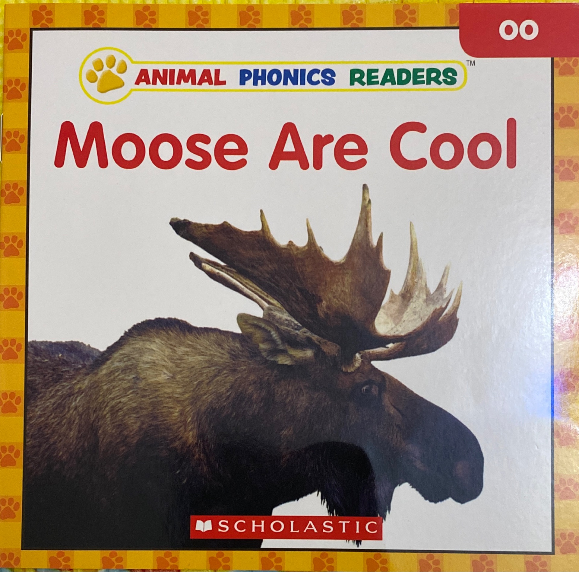 Moose are cool