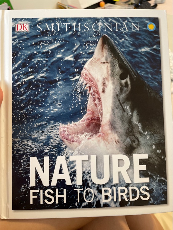 Nature : Fish to Bird