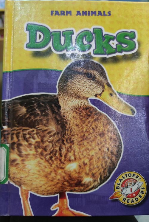 Ducks