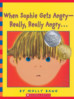 When Sophie Gets Angry Really Really Angry