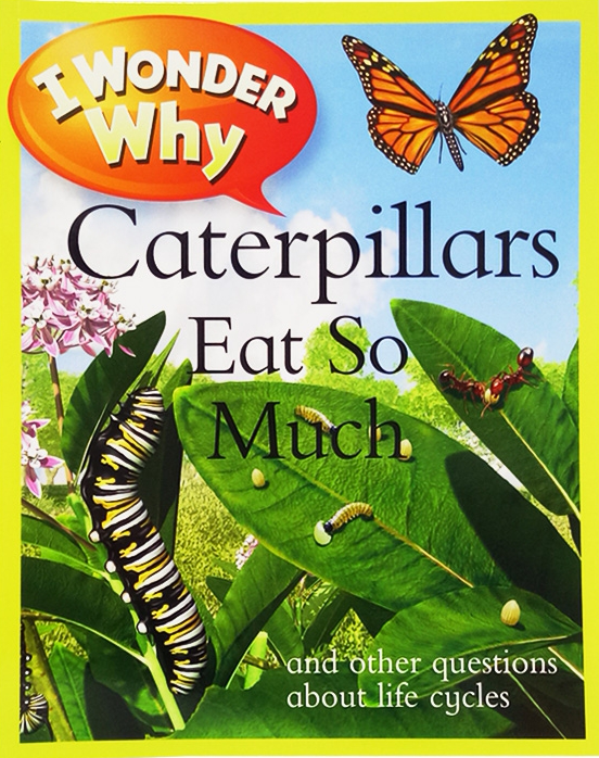 I Wonder Why Caterpillars Eat So Much