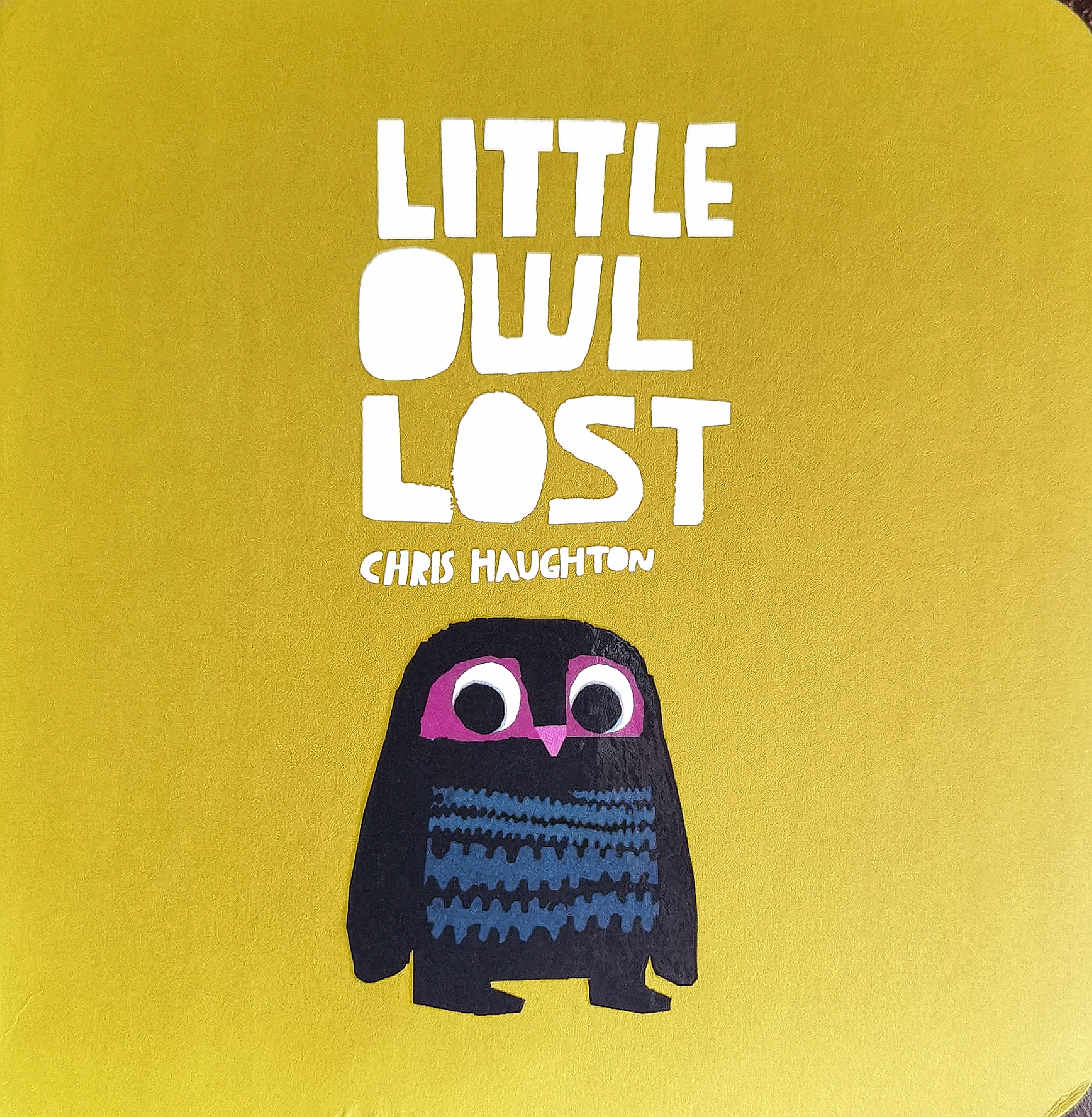 little owl lost