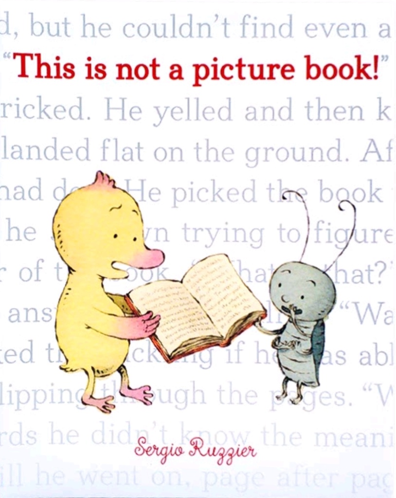 This Is Not a Picture Book!