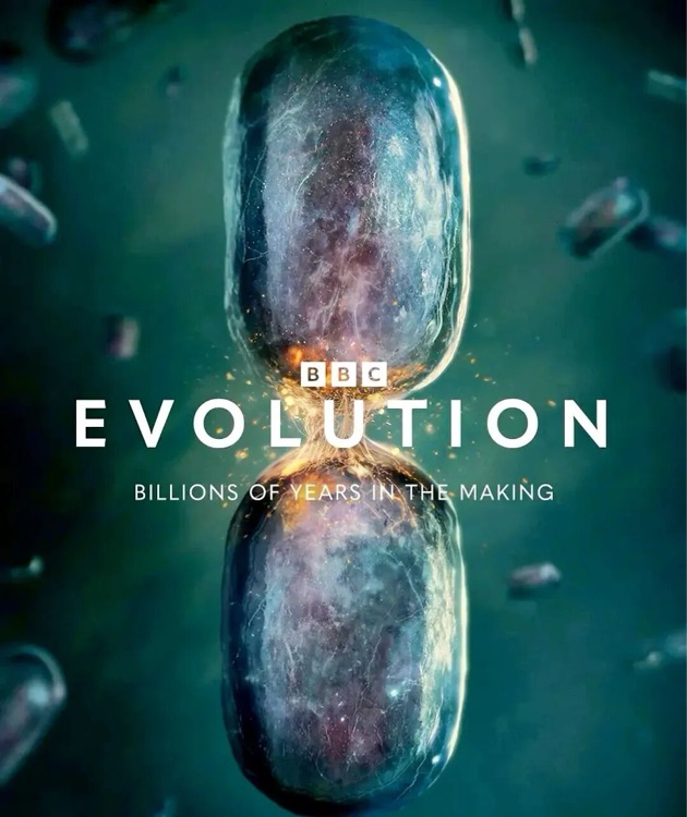BBC纪录片 Evolution进化