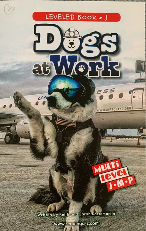 Dogs at Work (正版RAZ J)