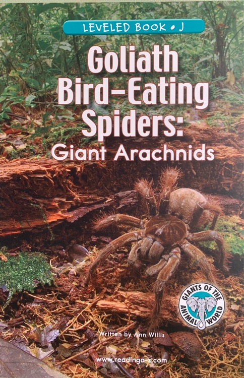 Goliath Bird- Eating Spiders: Giant Arachnids(正版RAZ J)