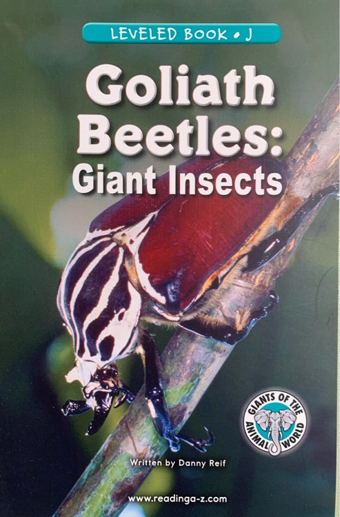 Goliath Beatle是: Giant Insects (正版RAZ J)