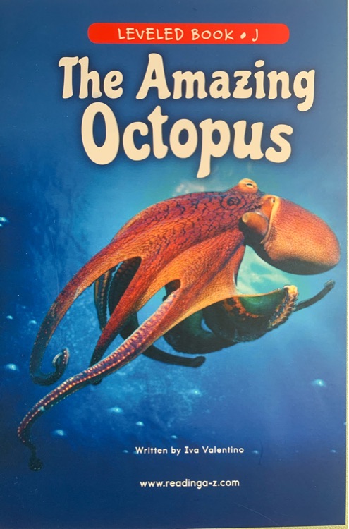 The Amazing Octopus (正版RAZ J)