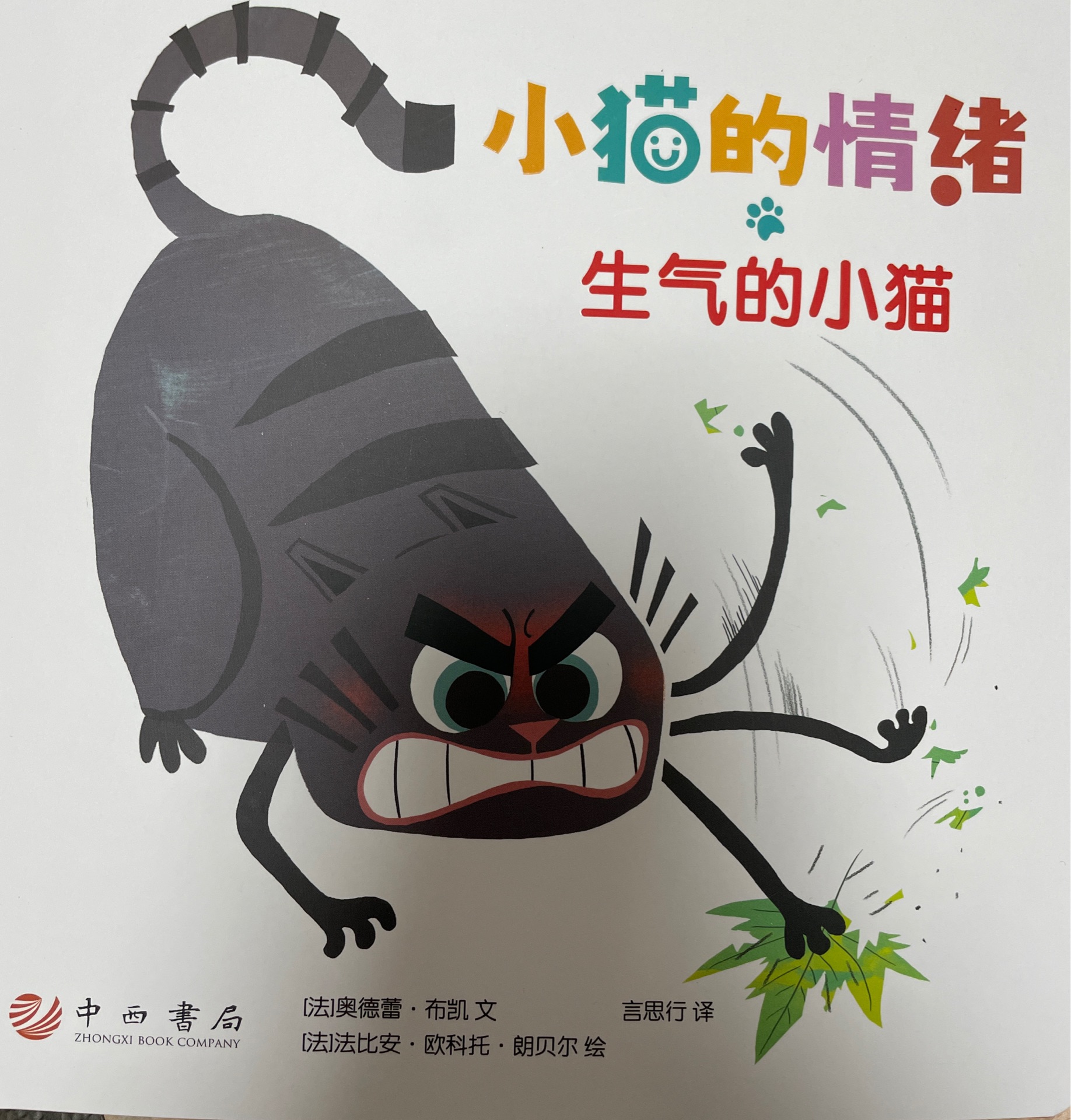 小貓的情緒生氣的小貓