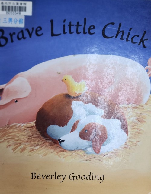 Brave Little  Chick