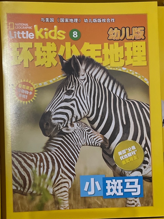 環(huán)球少年地理幼兒典藏版 - 小斑馬