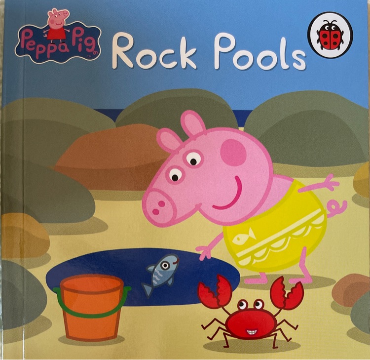 Rock Pools