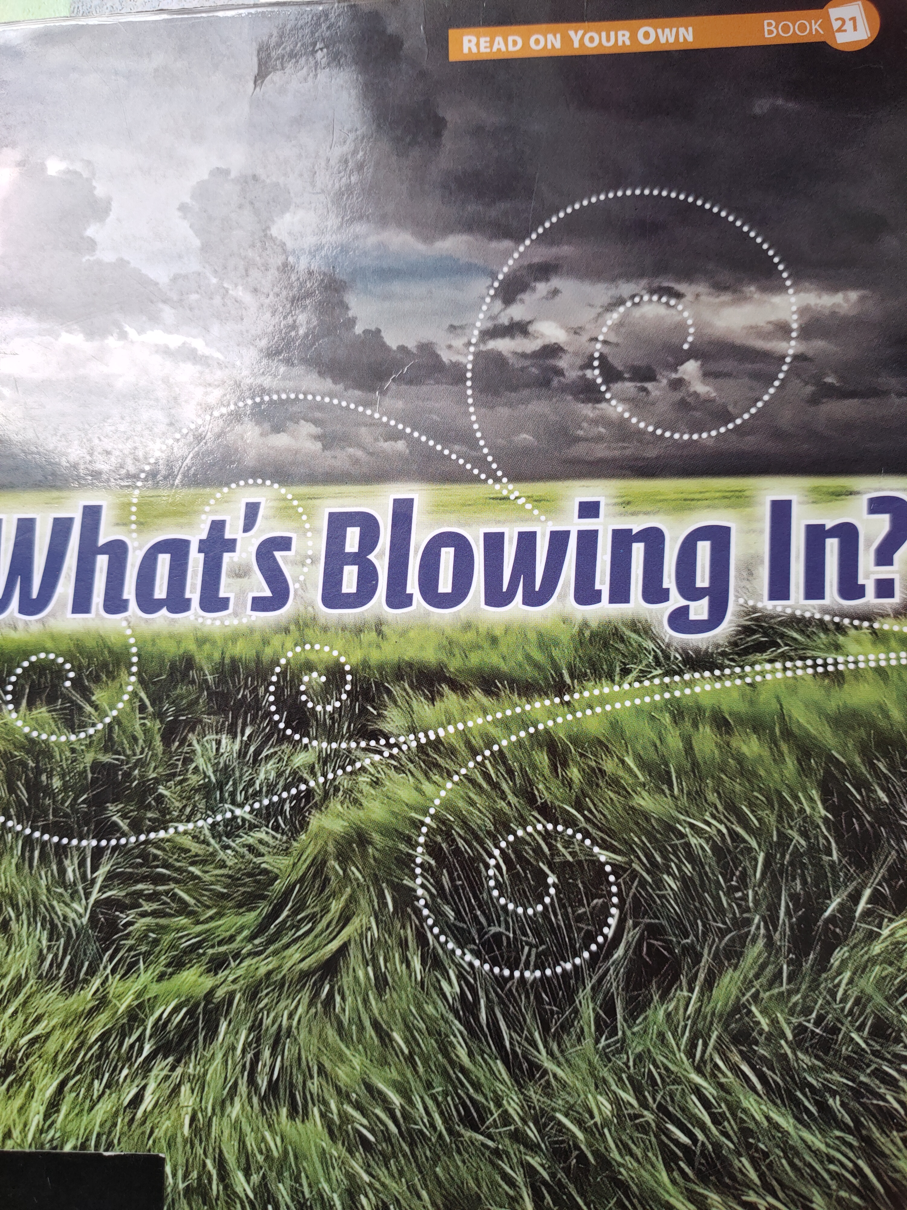 Reach into Phonics 1 (Read On Your Own Books): What's Blowing In?